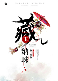 藏玉納珠小说封面
